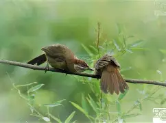 关于鵄5?j3顥|n鈵?$颊?-翳黽忋叧(